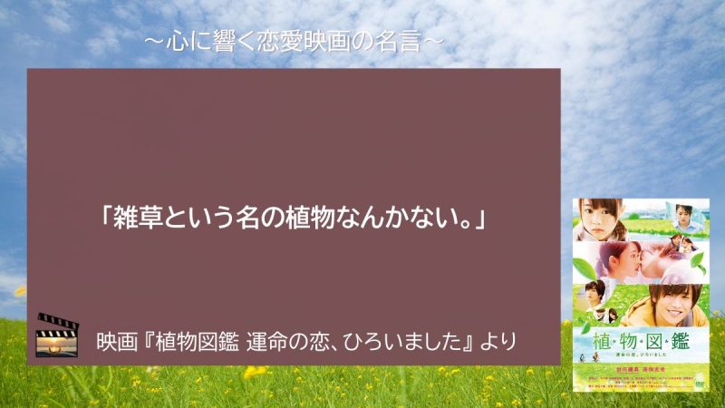 植物図鑑 運命の恋、ひろいました_名言