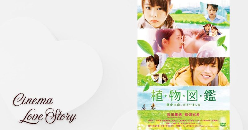 植物図鑑 運命の恋、ひろいました_EC